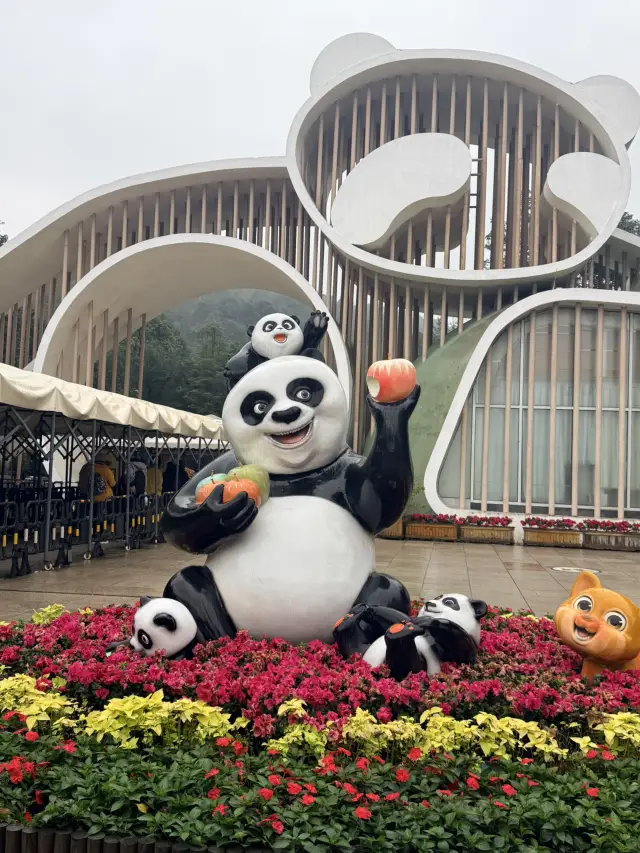 Panda Valley 的熊貓真的非常可愛