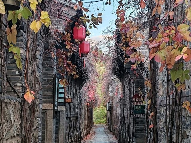 Autumn Charm in the Water Town