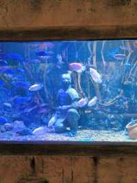 เที่ยวครบในที่เดียว! 🏰Huaxia Tourist Xi'an Resort