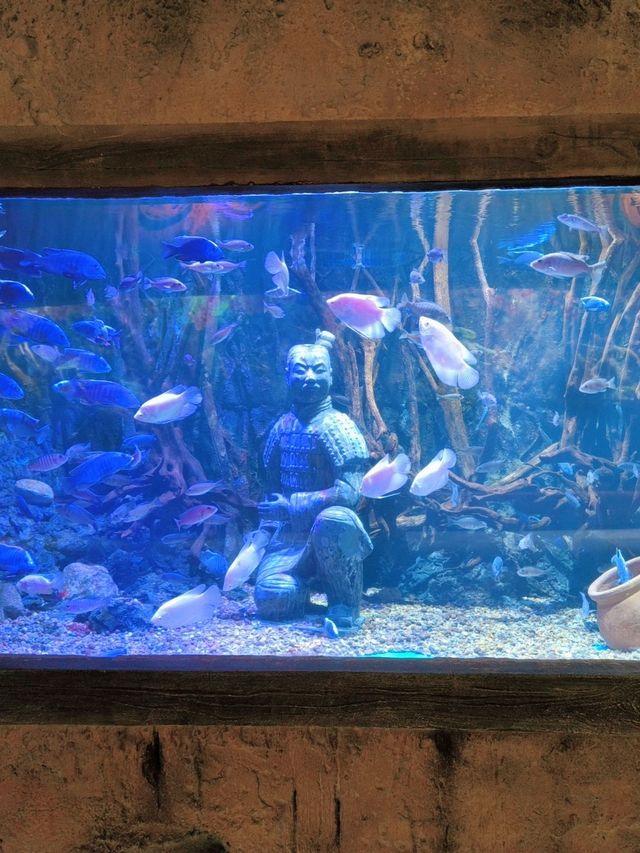 เที่ยวครบในที่เดียว! 🏰Huaxia Tourist Xi'an Resort