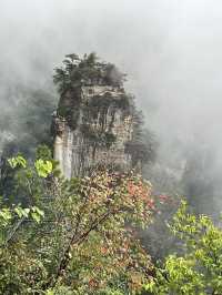 🌲 Zhangjiajie National Forest Park — The Ultimate 2-Day Guide for First-Timers 🌄
