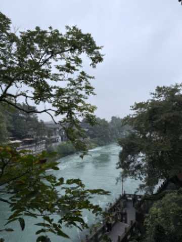 Nature Meets History🌳