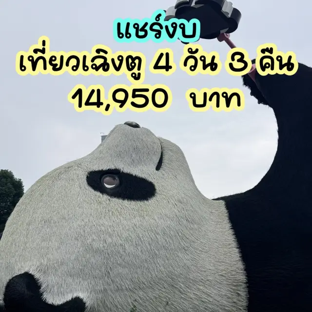 成都五天四夜家庭遊預算概要