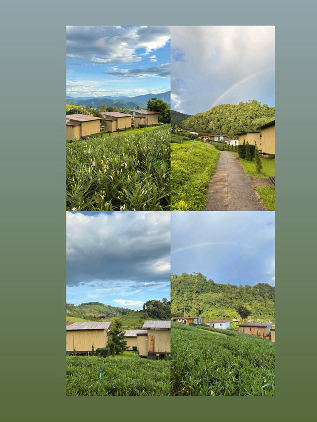 ที่พักโฮมสเตย์ เชียงใหม่ชื่อ   เจอเขา โฮมสเตย์