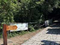 Dragon's Back 龍脊