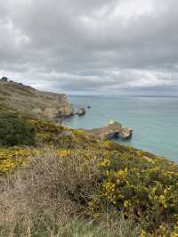 잠시 멈춰, 나를 찾아가는 더나든 여행