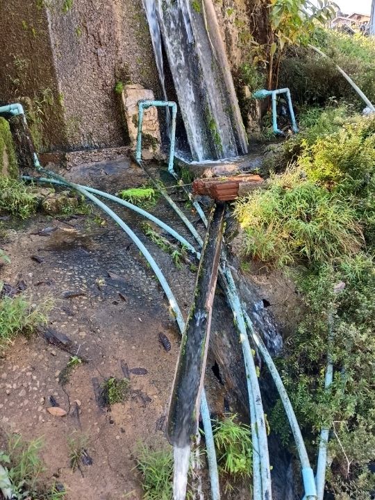 เติมป่าเติมดอยกับผาฮี้ที่เชียงราย