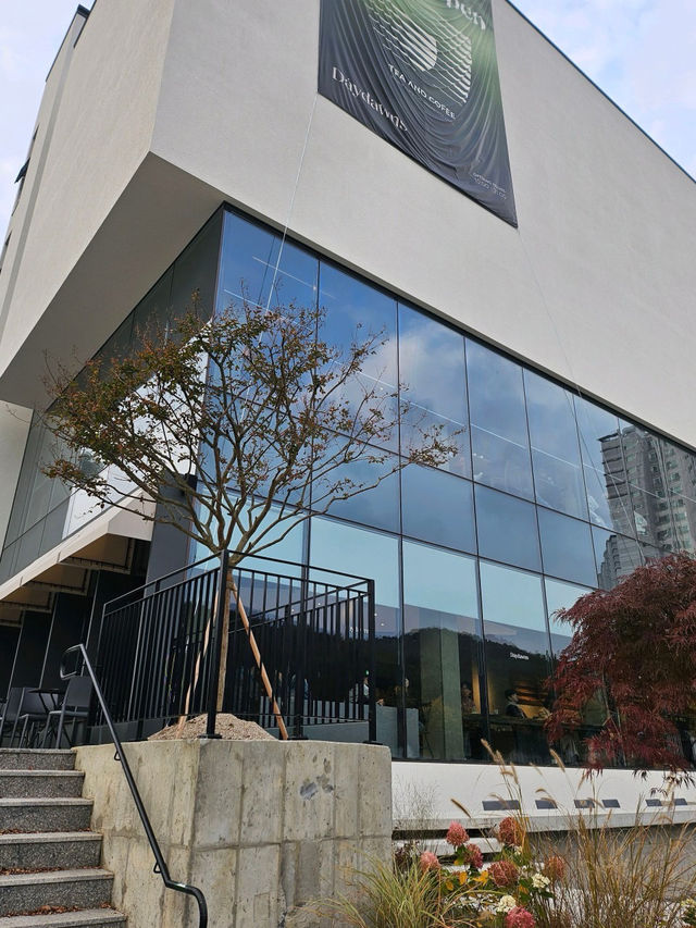 🖌️한적한🩷용인 대형 카페 데이던스