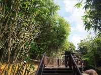 Steps Through Serenity: Putrajaya’s Bamboo-Lined Stairs