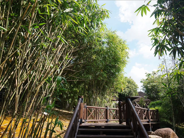Steps Through Serenity: Putrajaya’s Bamboo-Lined Stairs