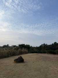 ๐ต ์ ์ฃผ ์ค์ค๋ก ํฐํ์ฐ์ค(ํฐ๋ฎค์ง์)