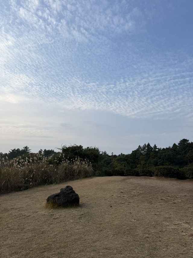 ๐ต ์ ์ฃผ ์ค์ค๋ก ํฐํ์ฐ์ค(ํฐ๋ฎค์ง์) ๐ต ์ ์ฃผ ์ค์ค๋ก ํฐํ์ฐ์ค(ํฐ๋ฎค์ง์)