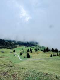 Swiss Alpine Escape🚲