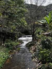 The best time to visit Mae Kampong Village is during the cool and dry seaso