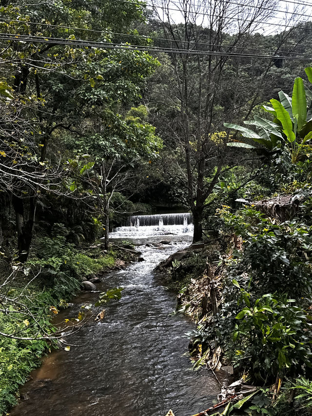 The best time to visit Mae Kampong Village is during the cool and dry seaso The best time to visit Mae Kampong Village is during the cool and dry seaso