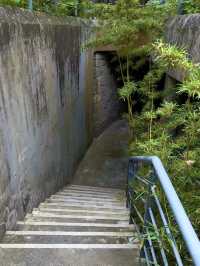 隱藏在市區裏的綠野仙蹤💕深圳(燕晗山郊野公園)治癒祕境