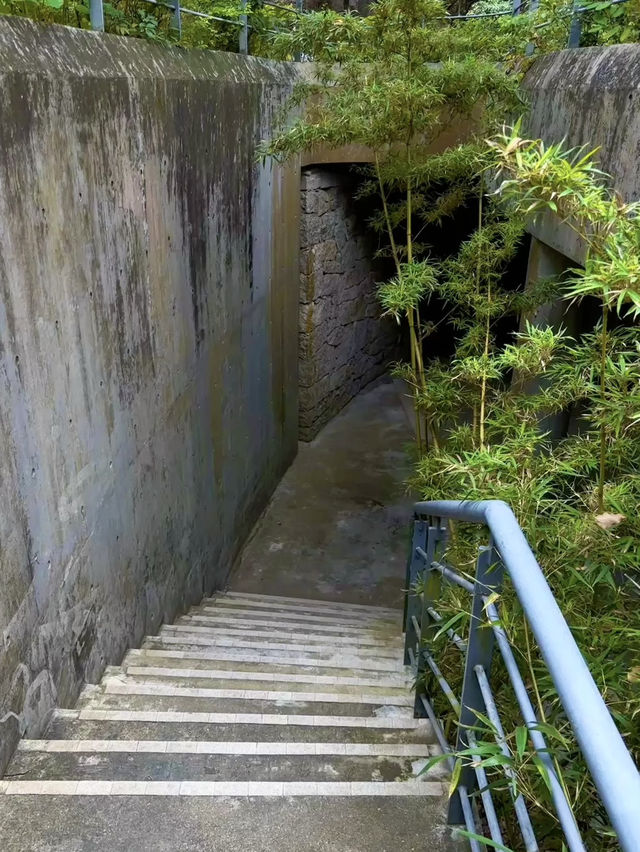 隱藏在市區裏的綠野仙蹤💕深圳(燕晗山郊野公園)治癒祕境 隱藏在市區裏的綠野仙蹤💕深圳(燕晗山郊野公園)治癒祕境
