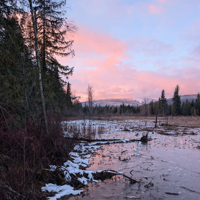 雪景山林絕美日出打卡📸