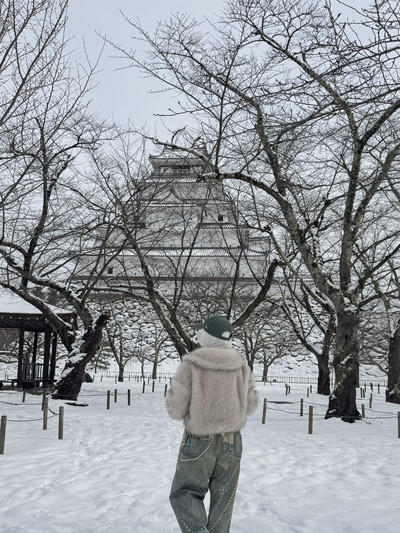 雪の中の鶴ヶ城、美しすぎる！ | Trip.com 会津若松