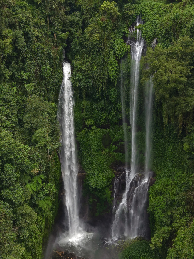 Sekumpul is one of the most picturesque and impressive places in Bali. It is located in the northern part of the island, amidst dense tropical jungles and rice terraces. In fact, Sekumpul is not just one, but a whole group of waterfalls, with streams cascading down from a height of about 70–80 meters, creating a sense of power and pristine nature.

The path to the waterfall involves trails, stairs, and crossing small rivers, making the journey to it a real adventure. Sekumpul is considered one of the most beautiful waterfalls in Bali and is especially stunning during the rainy season when the water flows become particularly powerful. This spot is perfect for those who want to experience the island's wild nature and feel its natural magic.