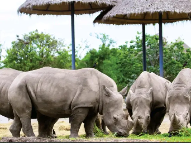 One-Day Family Trip: Fun for Everyone