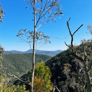 เพียร์ซ ฮิลล์ (ACT)