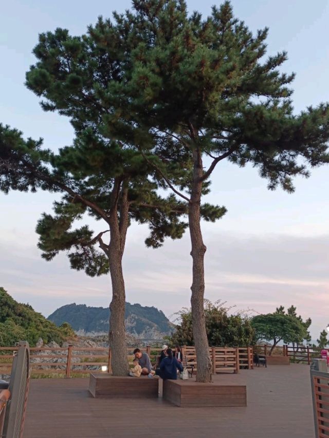 สัมผัสธรรมชาติรอบตัวและชมนกนานาพันธุ์@Saeseom Island,Jeju Isliand