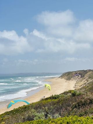 🌊🚗 Great Ocean Road – Perjalanan Pantai Paling Spektakuler di Australia 🚗🌊