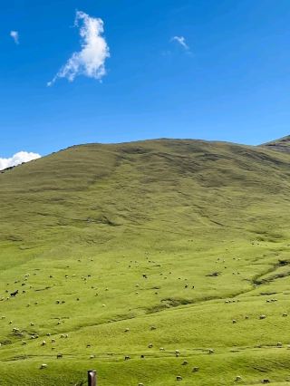 Tourist trap in Hulunbuir Grassland 