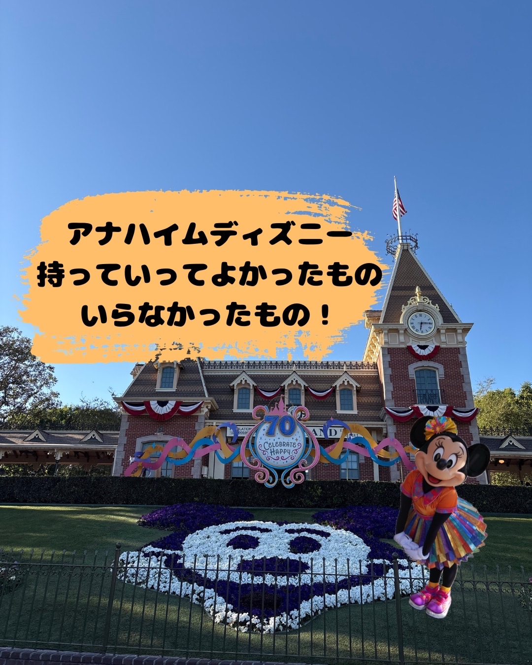 🇺🇸アナハイムディズニー、持って行ってよかったもの・いらなかったもの！