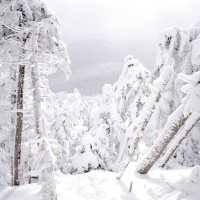 Killington Peak @ Killington Resort
