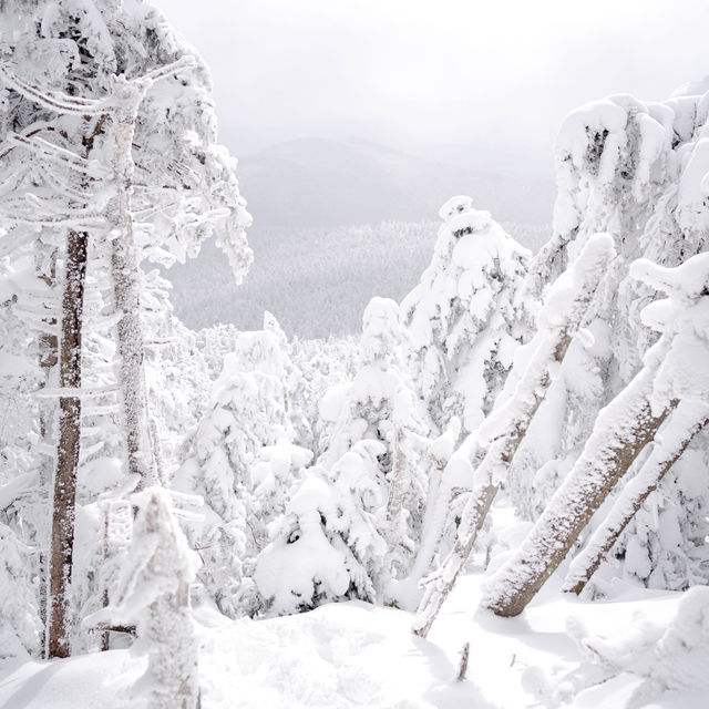 Killington Peak @ Killington Resort