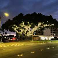 Kona, Hawaii 的迷人景色