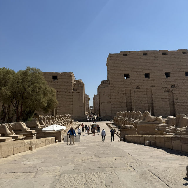  it is the largest temple complex in 🇪🇬
