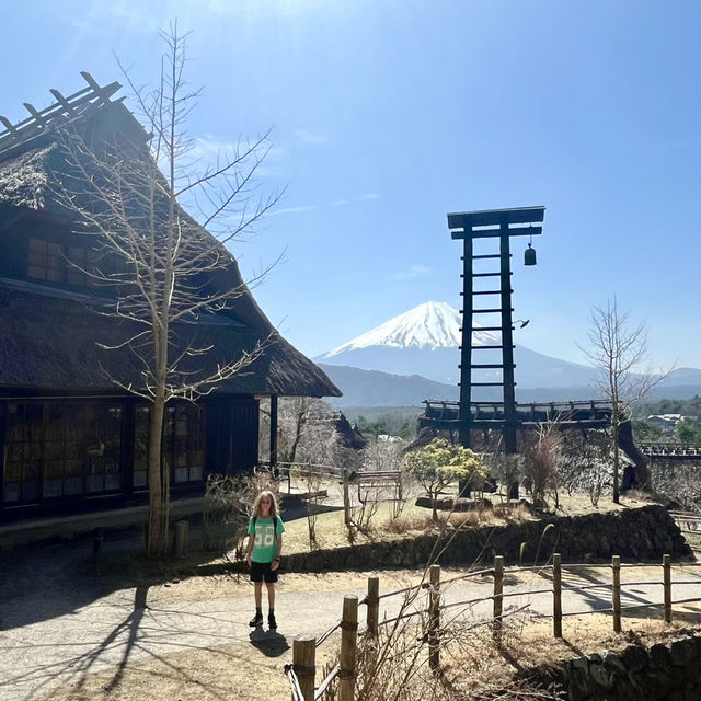 Epic views of Mt Fuji! Lake Kawaguchiko - A day trip from Tokyo. 