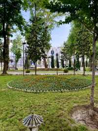 Spring Blossoms at Cyrus the Great Park