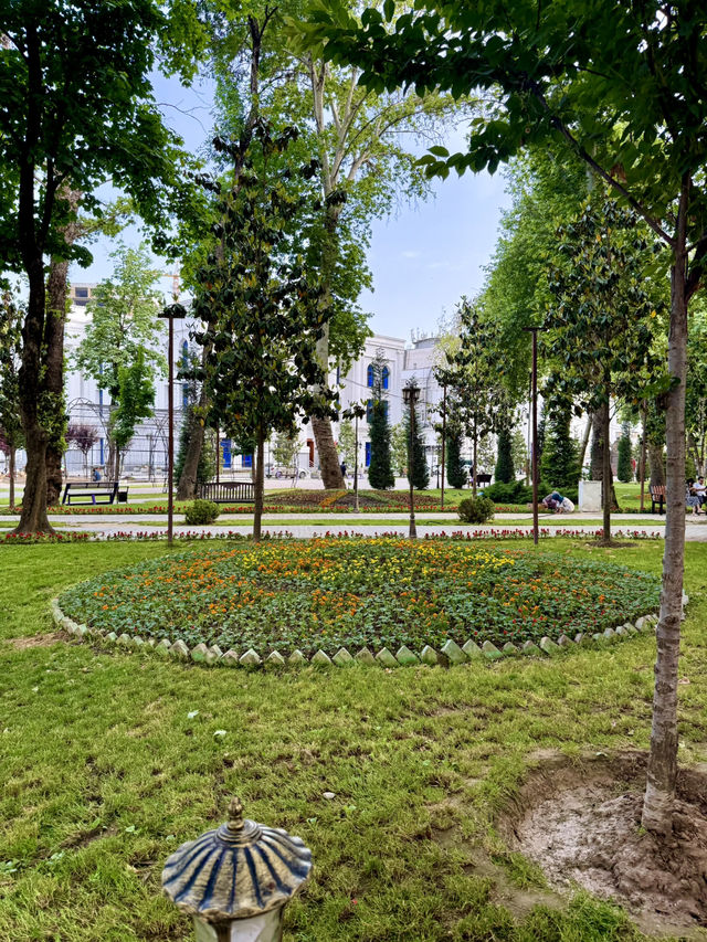 Spring Blossoms at Cyrus the Great Park