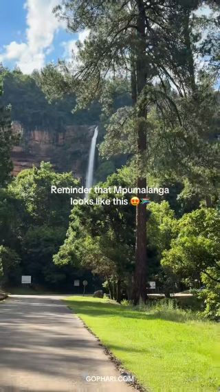 Reminder that Mpumalanga looks like this 🥰🇿🇦