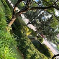 Fort Canning Park Singapore 🌴