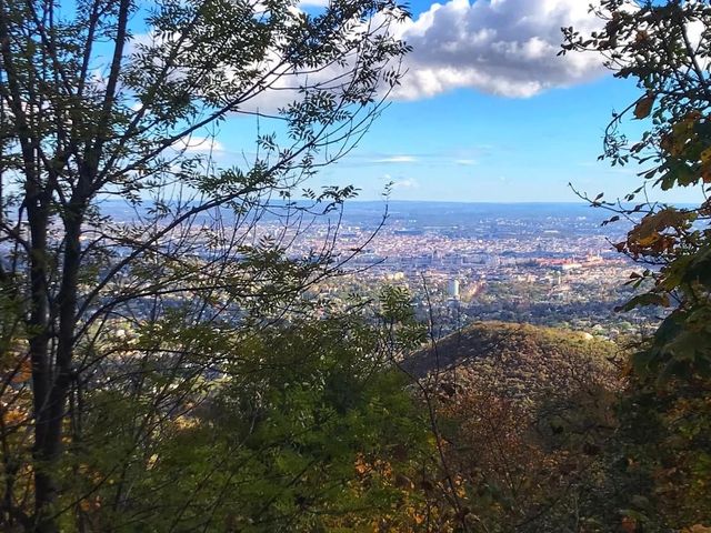 Autumn feel at Elizabeth Lookout Budapest 🗺️