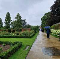 🌿 Hampton Court Maze! 🏰🌼