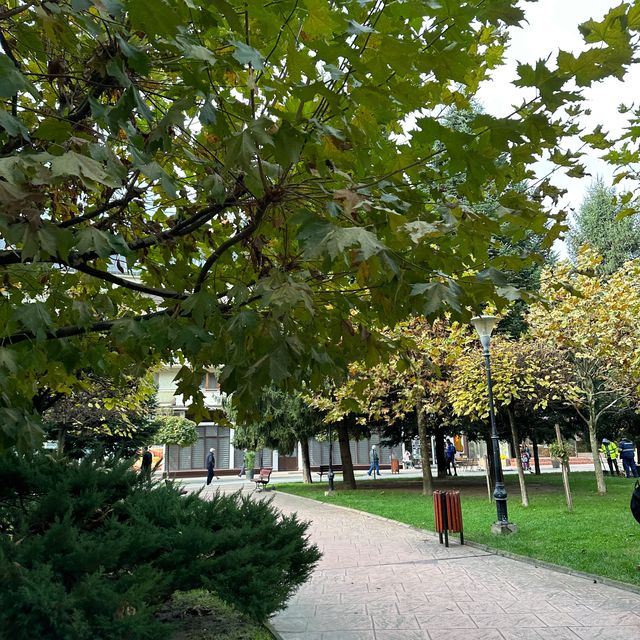Autumn in Romania be like ❤️