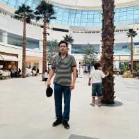 Abu Dhabi is stunning 