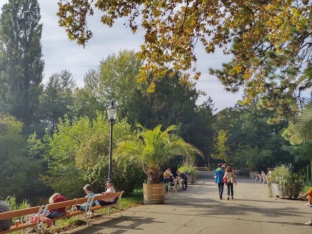 Türkenschanzpark Vienna in autumn 🗺️