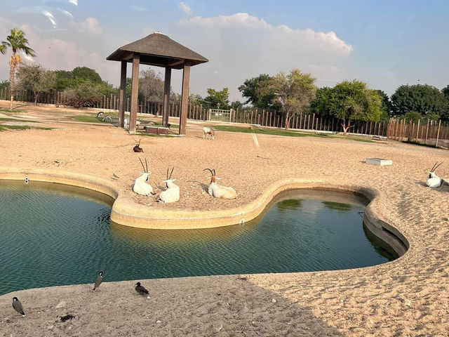 A beautiful park to spend the day 🗺️