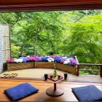 ♨️星野集團•界 箱根♨️宛如仙境的渡假體驗🌸