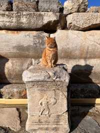 Exploring the Ruins of Ephesus