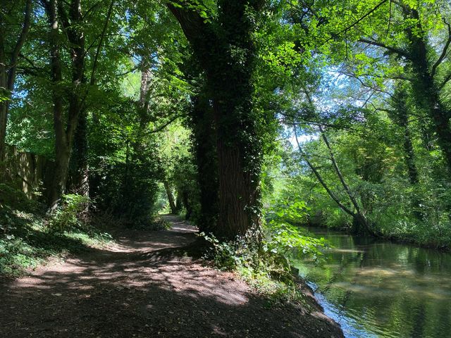 Serene Day at Lullingstone Country Park 🌳🌼