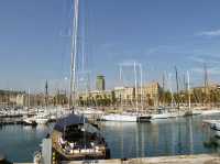 BCN calling