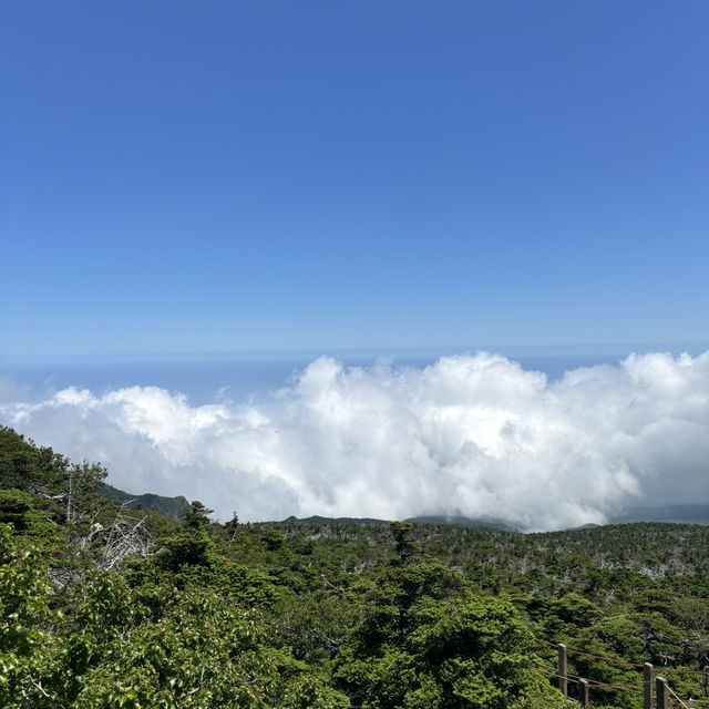 Hiking trip to the highest mountain of South Korea